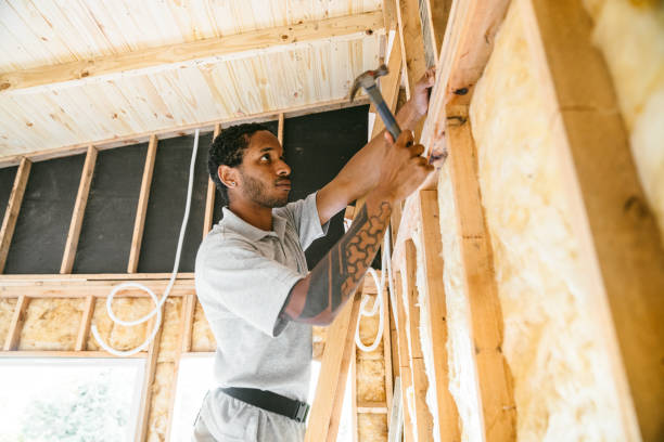 Best Cellulose Insulation  in Wanamassa, NJ